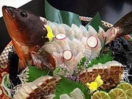 大阪湾で放流されているキジハタは「魚庭（なにわ）あこう」