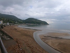 ウィリーにはほぼ塩対応で…25upお刺身カイワリでツ抜け