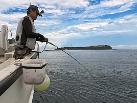 ウィリーにはほぼ塩対応で…25upお刺身カイワリでツ抜け
