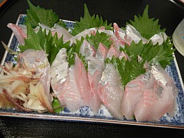 カイワリ刺しは間違いない、特に秋!! イトヨリは甘み不足？