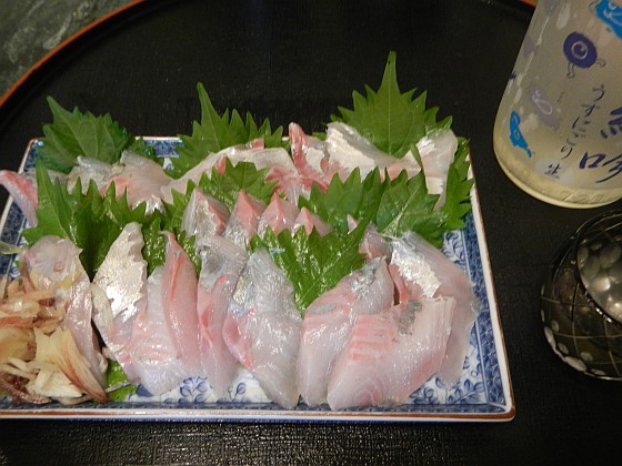 カイワリ刺しは間違いない、特に秋!! イトヨリは甘み不足？