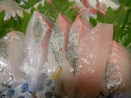 カイワリ刺しは間違いない、特に秋!! イトヨリは甘み不足？
