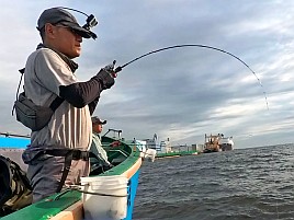 お刺身～フライ～南蛮漬けまでサイズいろいろLTアジで61匹♪