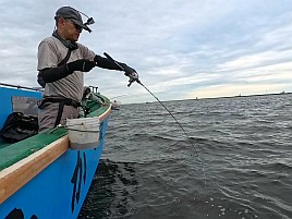 お刺身～フライ～南蛮漬けまでサイズいろいろLTアジで61匹♪