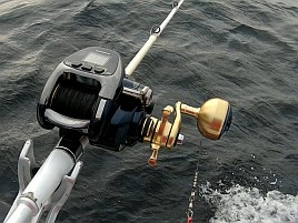 アヤメカサゴばかり釣れてしまうガチャ運の悪さに天を仰ぐ