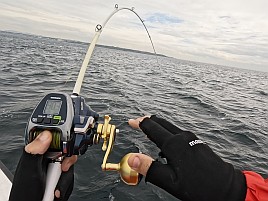 アヤメカサゴばかり釣れてしまうガチャ運の悪さに天を仰ぐ