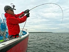 マハタ狙いのライト根魚の竿は8：2調子が正解だったのかな？