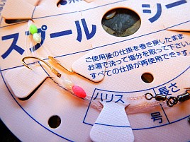 今週末はミドフォー熟アマダイを求めて2025年2戦目に行く