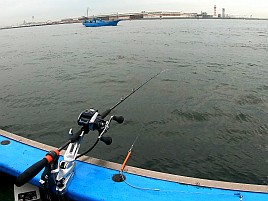 アラフォーアマダイ（41）となぜかマハゼで癒されてしまう