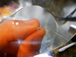 キスの仕掛けは作る度に次は市販のを買おうと思ってる気が