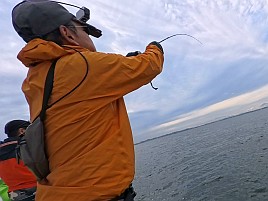 魚信は聞いて出す。シロギス釣りの霧が晴れた気がして74匹