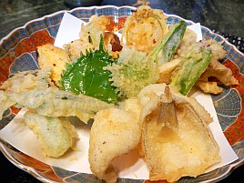 シロギスはアカムツやクロムツ用の身餌になる気がしてきた