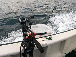 数釣りの予兆あるも良型狙い継続中でデカイワリ混じり9匹