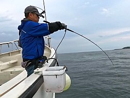 数釣りの予兆あるも良型狙い継続中でデカイワリ混じり9匹