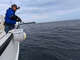 数釣りの予兆あるも良型狙い継続中でデカイワリ混じり9匹