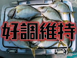 【動画】海面に穂先が突き刺さるたーのしー！な引きを満喫