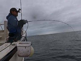 晴れの初島沖は夕マヅメのボーナスありで曇るとなしなの？