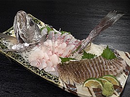 シャクれど気配なく撃沈覚悟も突然入れパク!! カイワリ16匹