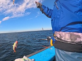 熟アマには相手にされず…でもデカイワリでひゃっほ～い♪