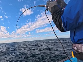 熟アマには相手にされず…でもデカイワリでひゃっほ～い♪