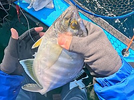 熟アマには相手にされず…でもデカイワリでひゃっほ～い♪