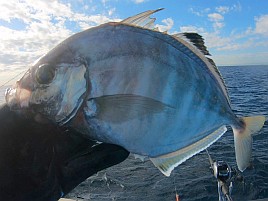 熟アマには相手にされず…でもデカイワリでひゃっほ～い♪