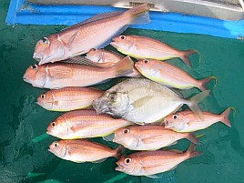 熟アマには相手にされず…でもデカイワリでひゃっほ～い♪