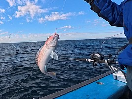 熟アマには相手にされず…でもデカイワリでひゃっほ～い♪