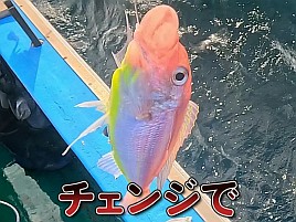 【動画】当日に釣行記を書き翌日動画を作るとこまでが釣り