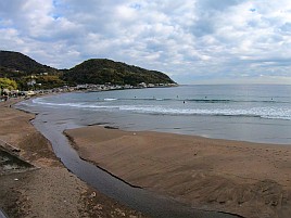 シロアマは遠きにありて思ふもの。狙って釣れるものでなし