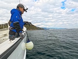 シロアマは遠きにありて思ふもの。狙って釣れるものでなし