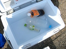 シマアジ狙って白間津へ行ってきた…本日の報告は以上です