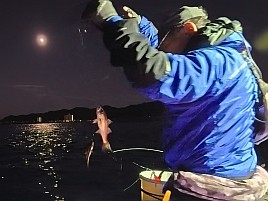 シマアジ狙って白間津へ行ってきた…本日の報告は以上です