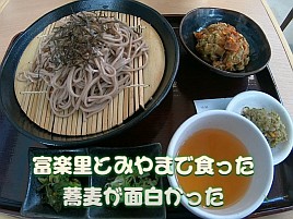 【動画】一番よかったことはお蕎麦が面白かったことですw