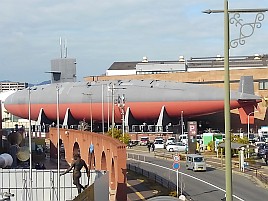 【番外編】呉で瀬戸内生しらす＆天然マダイ入り刺し盛りを