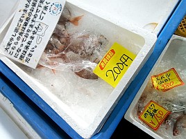 【番外編】呉で瀬戸内生しらす＆天然マダイ入り刺し盛りを