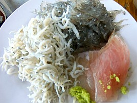 【番外編】呉で瀬戸内生しらす＆天然マダイ入り刺し盛りを