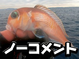 【動画】釣行記は書けても動画は作れない。そんな日もある