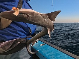 2026年初釣りは末吉だけど最悪気分。極鋭ロスでやさぐれ中