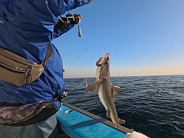 2026年初釣りは末吉だけど最悪気分。極鋭ロスでやさぐれ中