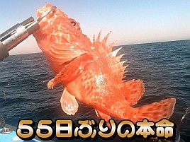【動画】極鋭がぁ!! 俺が持っている唯一の極鋭がぁぁぁあ!!