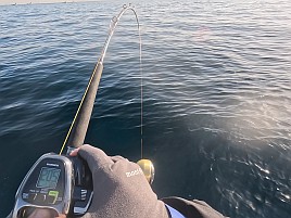 2026年初釣りは末吉だけど最悪気分。極鋭ロスでやさぐれ中