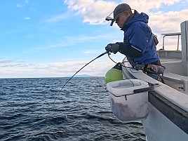 数釣り始まってたよ!!　伊豆での初釣りはカイワリ25匹で吉