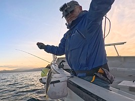 数釣り始まってたよ!!　伊豆での初釣りはカイワリ25匹で吉