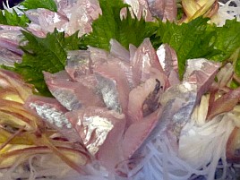 カイワリ刺し4匹分ドカ食い。この瞬間のために釣りしてる