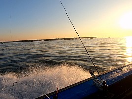 35cm＋小2アマダイゲット!!　五十肩も治り海風は万能薬？