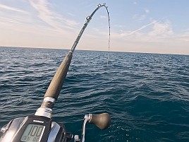 35cm＋小2アマダイゲット!!　五十肩も治り海風は万能薬？