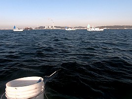 25センチが小さく見える!! ビシアジはこうでなくっちゃね！