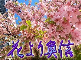 【動画】腕は無理でも強メンタルは欲しいなって釣行だった