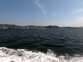 イワシメバル人生4戦目はいきなりメバルで最後にアカハタ